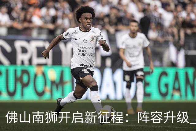 佛山南狮开启新征程：阵容升级 目标中甲前八