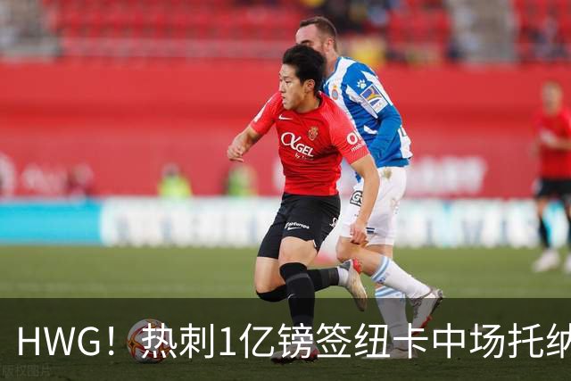 HWG！热刺1亿镑签纽卡中场托纳利 今夏1.85亿镑签2中场